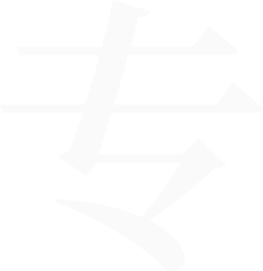 专